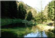 Hunde und Hotel Hotel-Restaurant-Caf� zur Quelle in Tambach-Dietharz