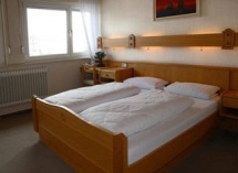 Hunde und Hotel Gasthof Gr�ner Baum in Stetten