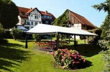 Gasthof Gr�ner Baum in Stetten