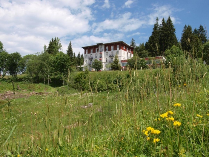Öffne Detailseite - Urlaub mit dem Hund im Waldhotel am Notschreipass in Todtnau   Öffne Detailseite - Urlaub mit dem Hund im Waldhotel am Notschreipass in Todtnau