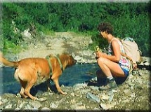  Das Kleine Feriendorf in Jenig 