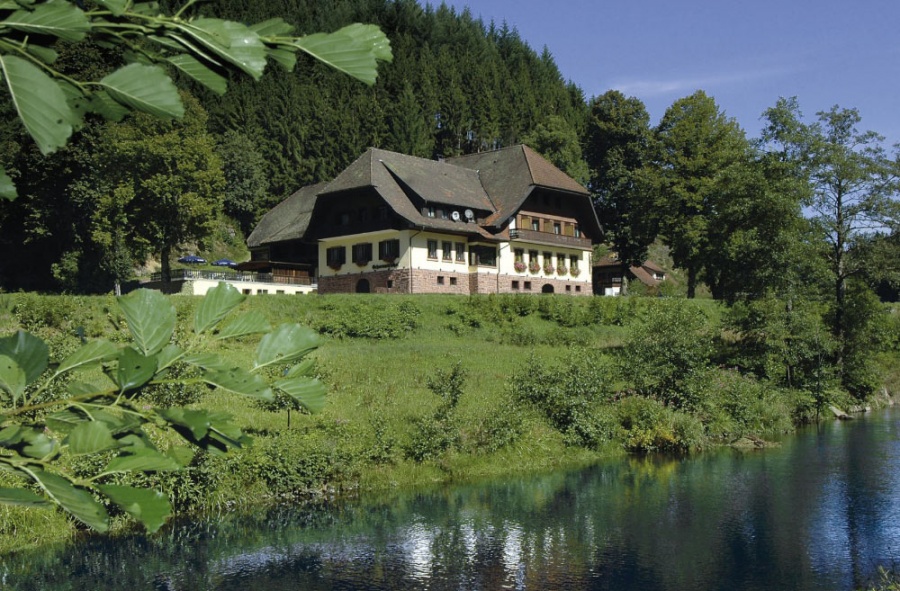  Hotel Restaurant Ochsenwirtshof in Bad Rippoldsau-Schapbach 