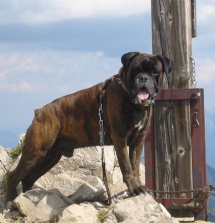  Landhaus Tanneneck in Bayrischzell 