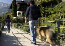  Landhaus Hotel Kristall in Marling bei Meran 