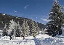  Ferienhaus / Ferienwohnung in Weissensee 