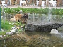  Gartenhotel Magdalena in Ried im Zillertal 