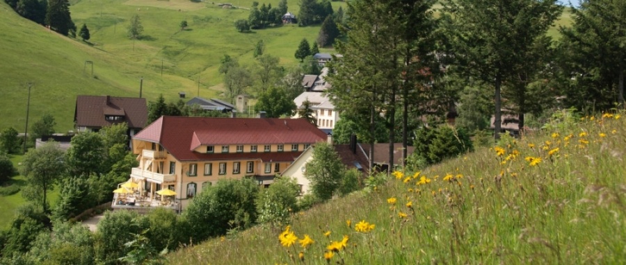  Naturparkhotel GrÃ¼ner Baum in Todtnau-Muggenbrunn 