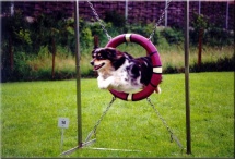  Hotel ENNSTALER HOF in GroÃraming 