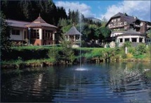  Hoteldorf GrÃ¼ner Baum in Badgastein 