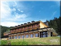  Alpenhof Hotel in Steinhaus am Semmering 