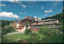  Hotel SchÃ¶ne Aussicht in Hornberg - Niederwasser 