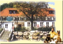  Hotel ENNSTALER HOF in GroÃraming 