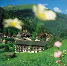  Hoteldorf GrÃ¼ner Baum in Badgastein 