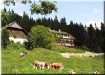  Almgasthof Moassa in Kapellen 